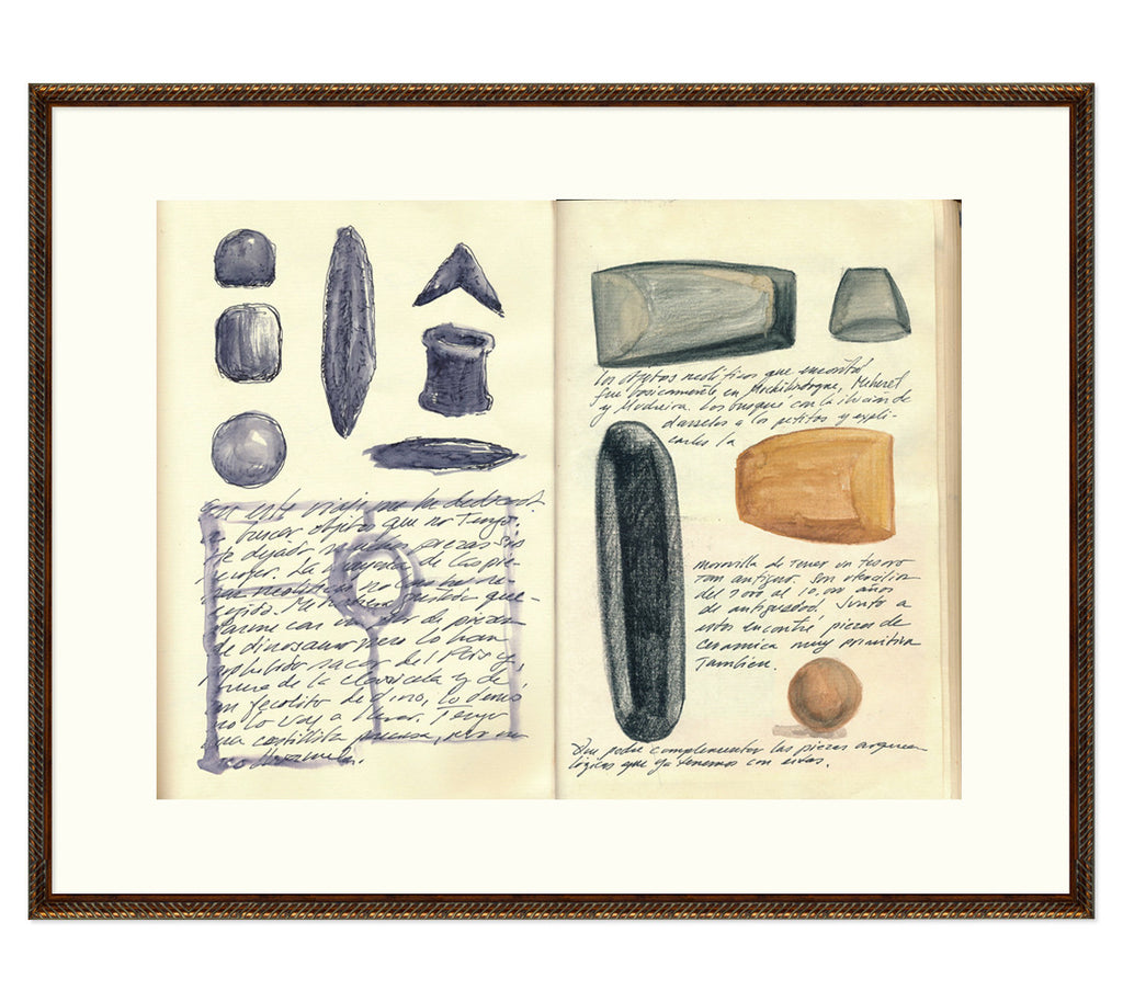 Explorer's Journal EJS10