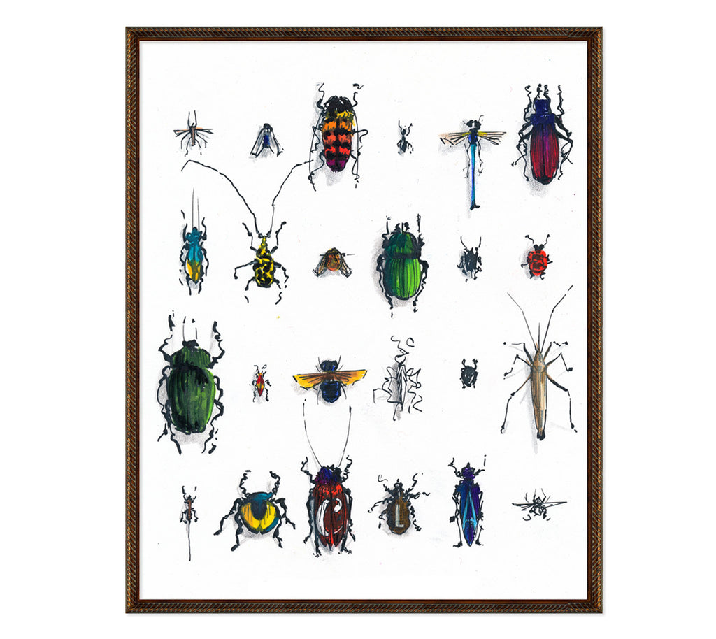 Explorer's Journal EJS12