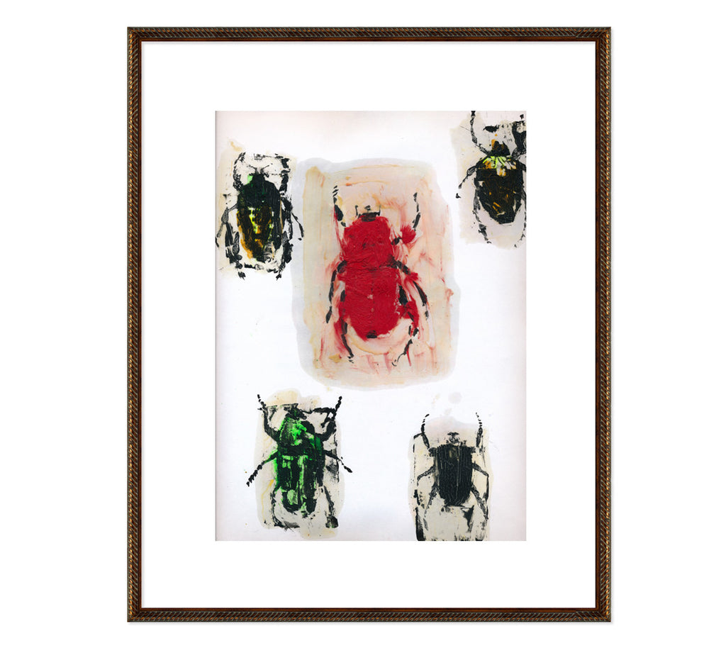 Explorer's Journal EJS13