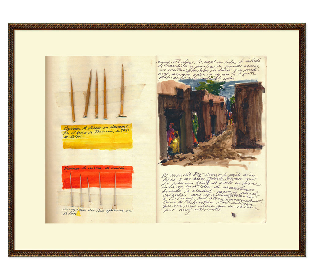 Explorer's Journal EJS14